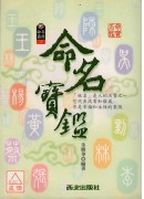 命名寶鑑