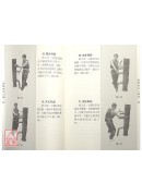 詠春拳木人樁(附VCD)