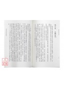 抱一子陳顯微道書二種