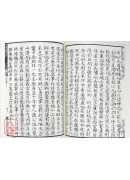 呂祖全書[空青洞天藏版，海內孤本](全二冊)