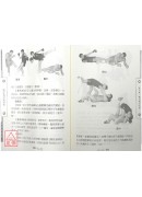 散打基礎技法精要(附DVD) 