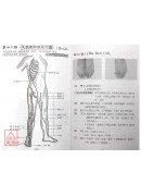 臨床十四經361腧穴(上下兩冊)