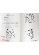 八法拳 八法槍