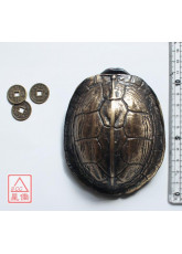 銅龜殼+方孔銅錢(三枚)