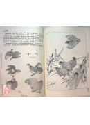 白描畫譜5000例【中篇】禽鳥走獸〔簡體書〕