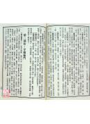 新編辨證奇聞(上下冊)