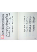 中國預言救劫書彙編(1~10冊)