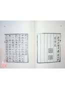 紀九行氣鍊形圖