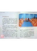 心定和尚訪談錄：行佛—以師心為己心