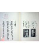 湯氏拳術─外功大洪拳