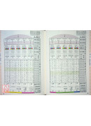 《三元年鑑》丙午、丁未（天河水）