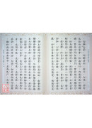 大乘大集地藏十輪經 C034