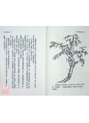 地理巒頭實務(中)