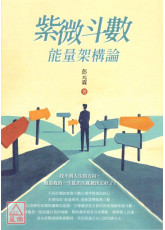紫微斗數：能量架構論