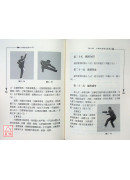 少林拳技擊入門